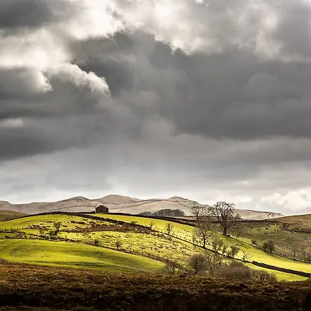 Hotel The Black Bull