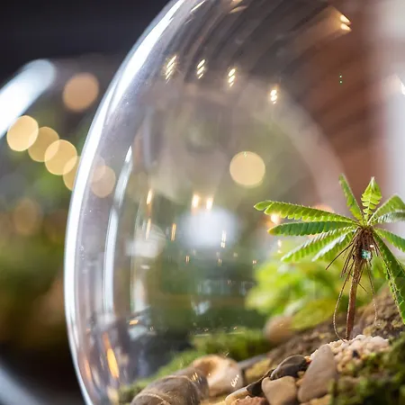 The Black Bull Hotel