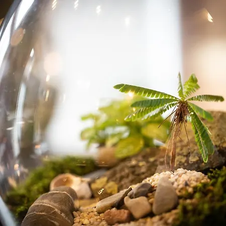 Hotel The Black Bull Sedbergh