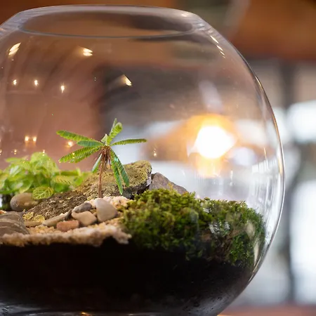 The Black Bull Hotel 5*