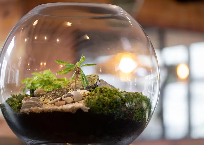 The Black Bull Hotel 5*