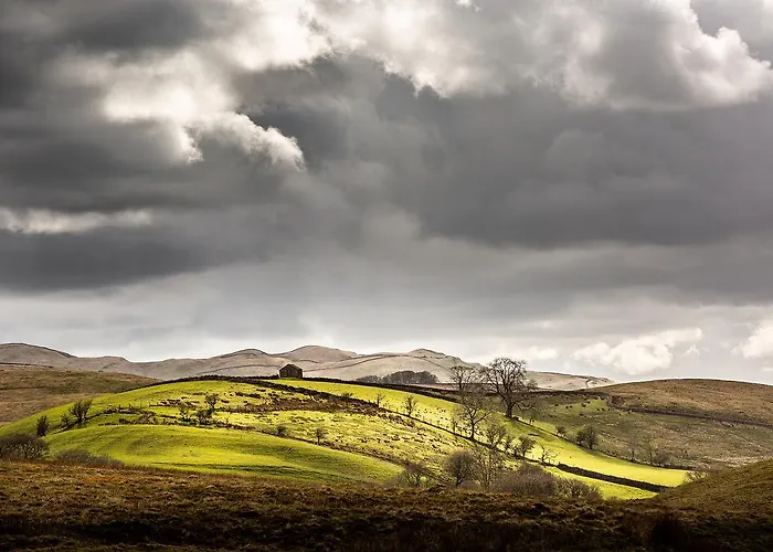 Hotel The Black Bull