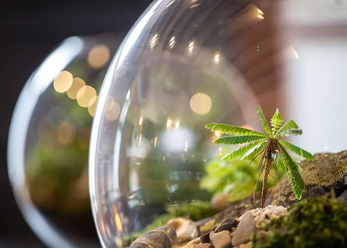 The Black Bull Hotel